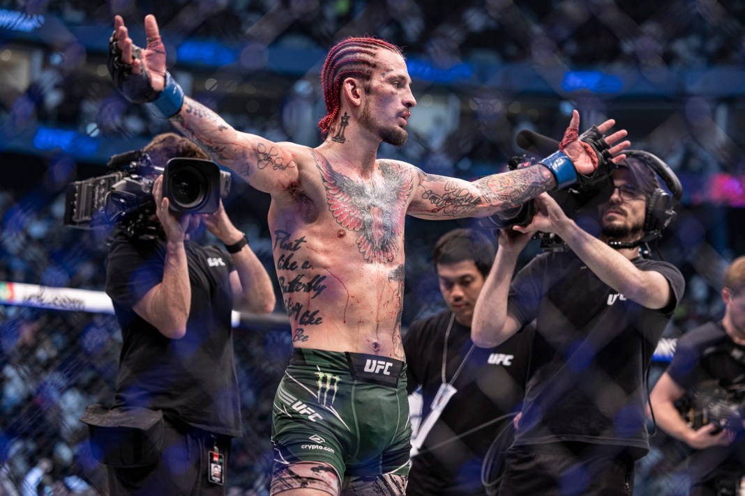 ufc 299 picks