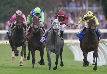 Keeneland Picks for Wednesday, April 9 Keeneland, horse racing