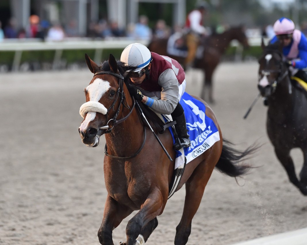 gulfstream park, horse racing