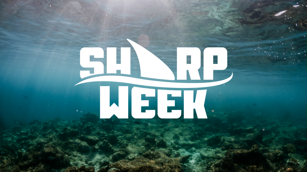 VSiN To Launch “Sharp Week” to Prepare Bettors for NCAA Basketball Tournament